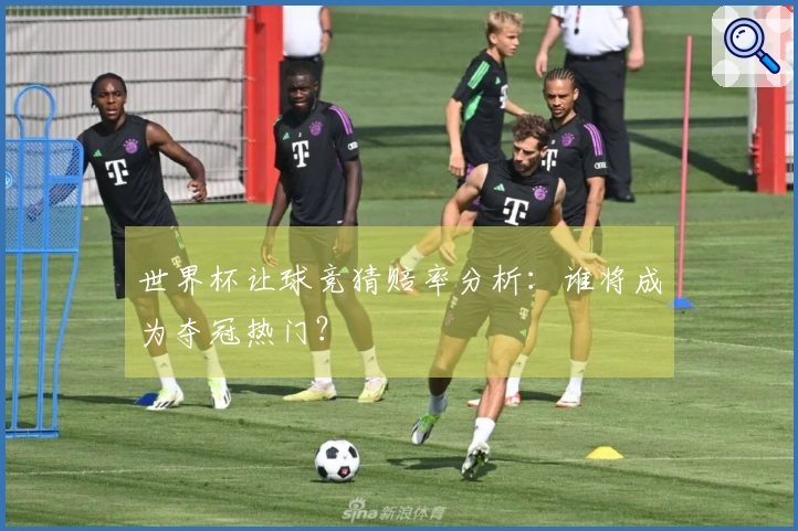 世界杯让球竞猜赔率分析：谁将成为夺冠热门？