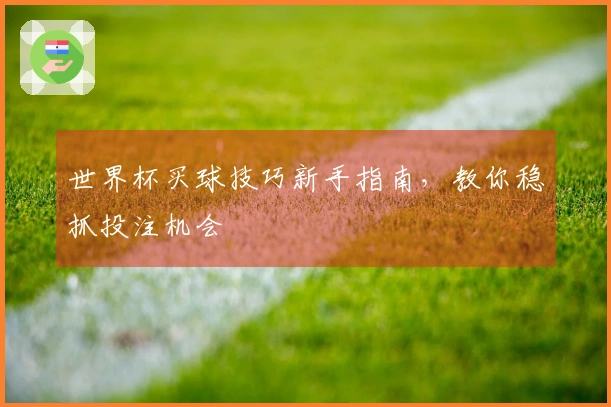 世界杯买球技巧新手指南，教你稳抓投注机会