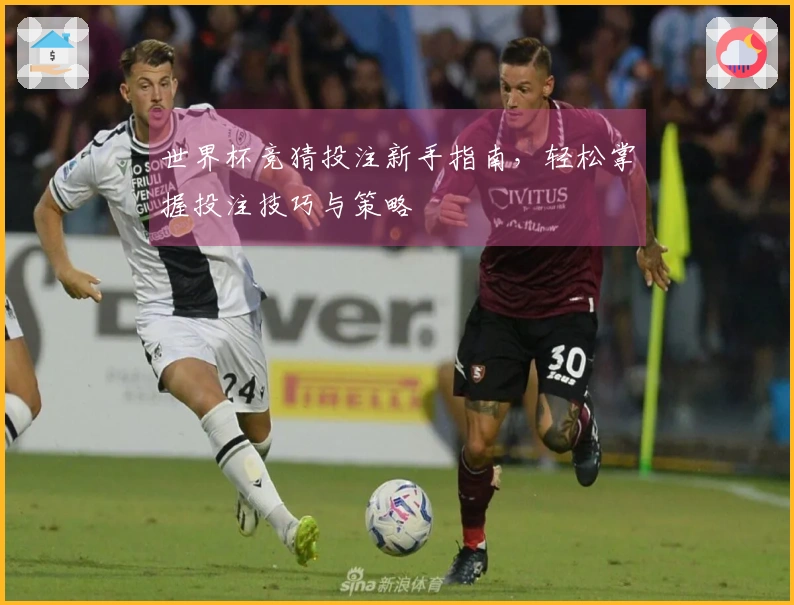 世界杯竞猜投注新手指南，轻松掌握投注技巧与策略