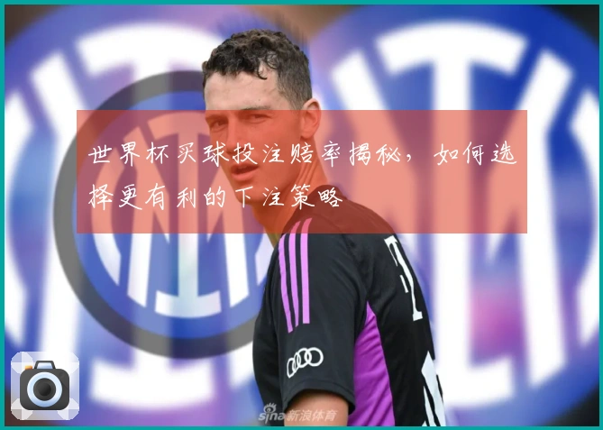 世界杯买球投注赔率揭秘，如何选择更有利的下注策略