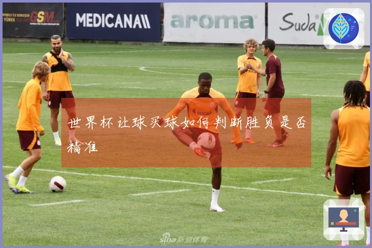 世界杯让球买球如何判断胜负是否精准