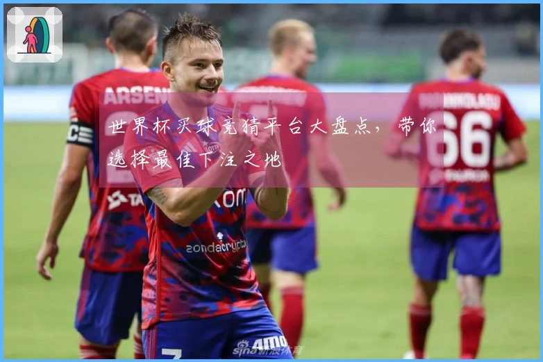 世界杯买球竞猜平台大盘点，带你选择最佳下注之地