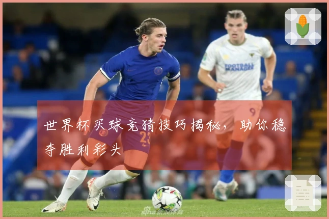 世界杯买球竞猜技巧揭秘，助你稳夺胜利彩头