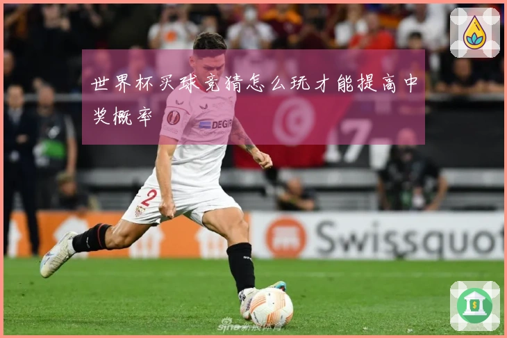 世界杯买球竞猜怎么玩才能提高中奖概率