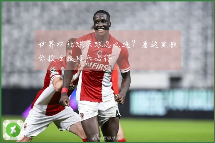 世界杯让球买球怎么选？看这里教你投注技巧和心得