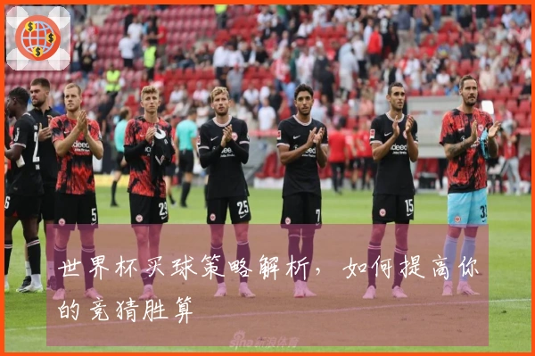 世界杯买球策略解析，如何提高你的竞猜胜算