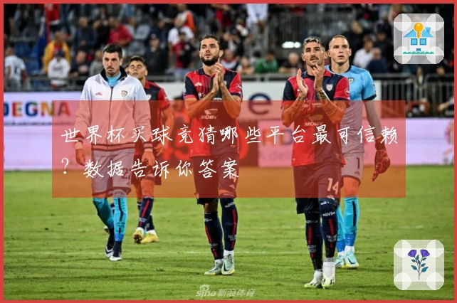 世界杯买球竞猜哪些平台最可信赖？数据告诉你答案
