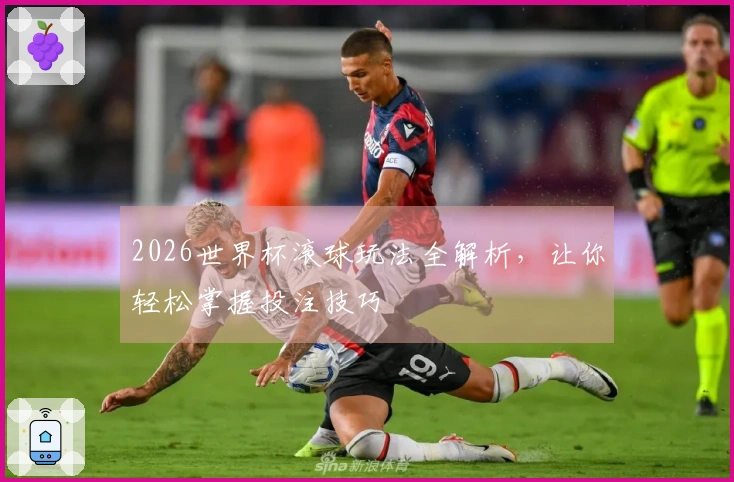 2026世界杯滚球玩法全解析，让你轻松掌握投注技巧