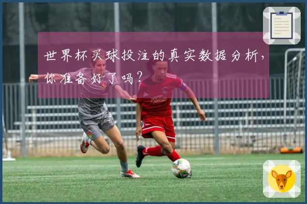 世界杯买球投注的真实数据分析，你准备好了吗？