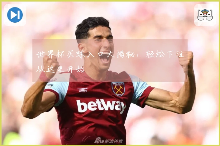 世界杯买球入口大揭秘，轻松下注从这里开始