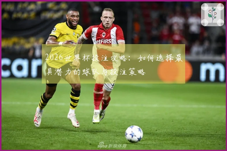 2026世界杯投注攻略：如何选择最具潜力的球队与投注策略