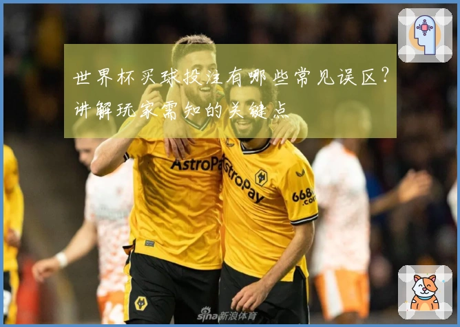 世界杯买球投注有哪些常见误区？讲解玩家需知的关键点
