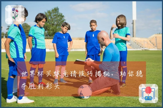世界杯买球竞猜技巧揭秘，助你稳夺胜利彩头