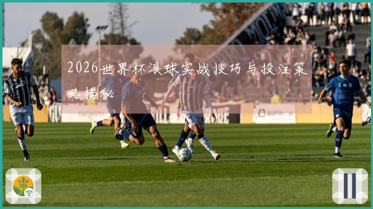 2026世界杯滚球实战技巧与投注策略揭秘