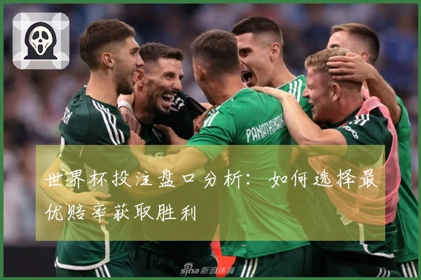 世界杯投注盘口分析：如何选择最优赔率获取胜利