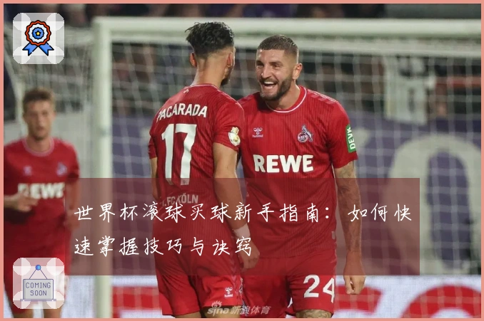世界杯滚球买球新手指南：如何快速掌握技巧与诀窍