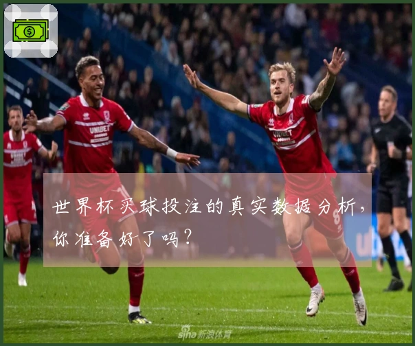 世界杯买球投注的真实数据分析，你准备好了吗？