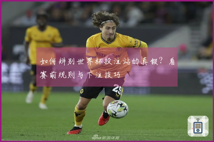 如何辨别世界杯投注站的真假？看赛前规则与下注技巧