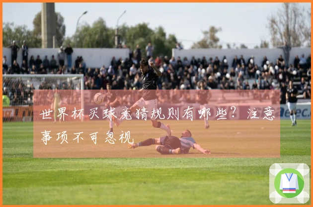 世界杯买球竞猜规则有哪些？注意事项不可忽视